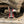 Load image into Gallery viewer, VOLT MOTORSPORT ENGINE TORQUE MOUNT- FORD FIESTA ST180 / 1l ECOBOOST